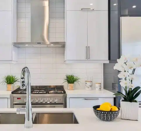 Modern kitchen with a stainless steel stove, white cabinets, a double sink, decorative plants, and a bowl of lemons on the countertop.